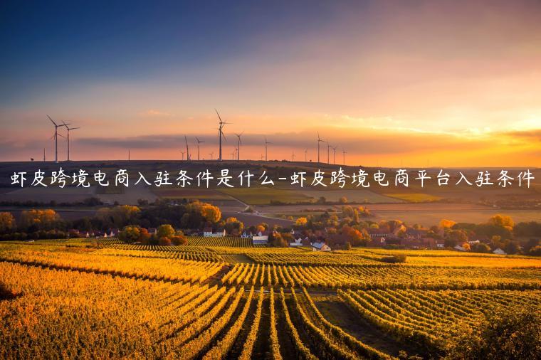 蝦皮跨境電商入駐條件是什么-蝦皮跨境電商平臺(tái)入駐條件